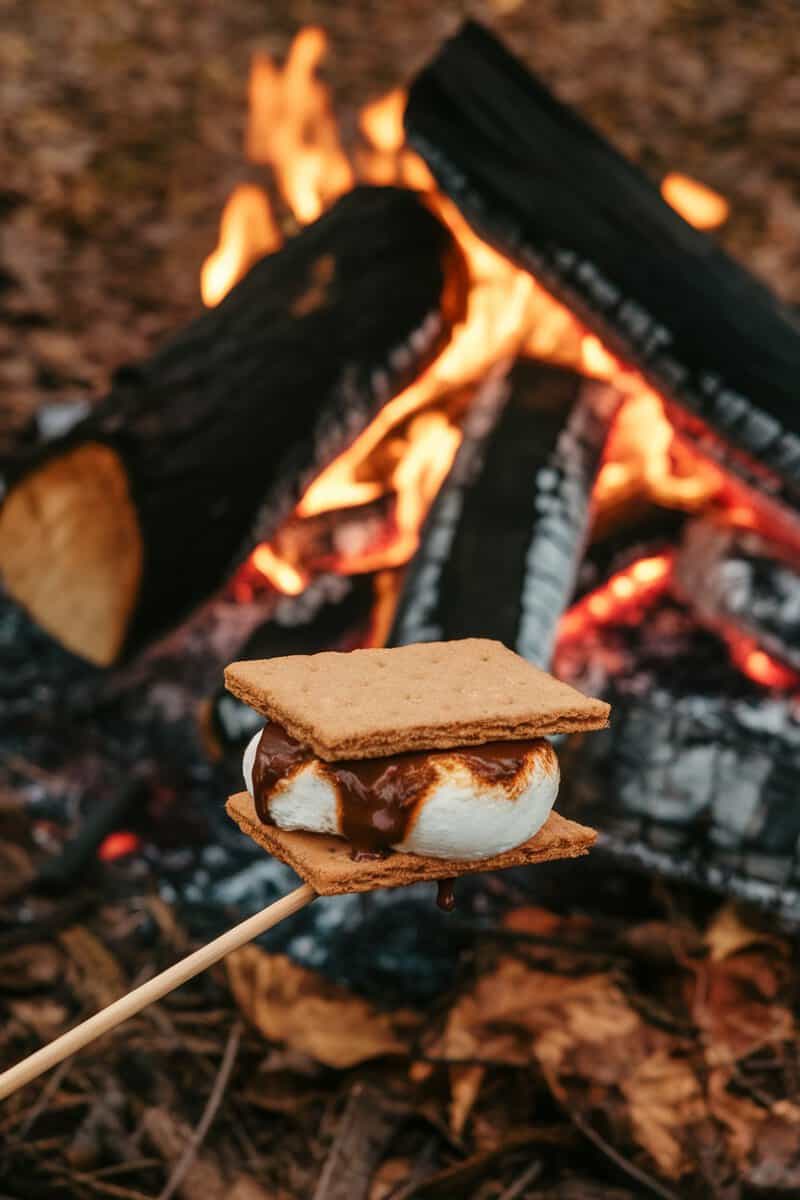 A delicious looking s'more being held in front of a campfire