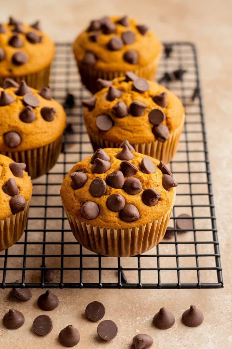 Pumpkin chocolate chip muffins on a cooling rack